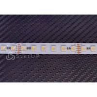 Светодиодная лента SMD 5050 RGB CW (Многоцветная) 96 led/m 24V IP33 (Не влагозащищённая)